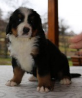 /album/a5-tyzden-5th-week-ii/chantal-jpg/