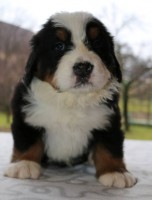 /album/a5-tyzden-5th-week-ii/charon-jpg/