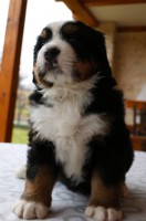 /album/a5-tyzden-5th-week-ii/cherry-jpg/