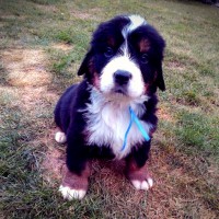 /album/a5-tyzden-5th-week/a1455117306236-jpg/