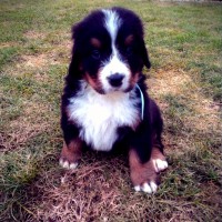 /album/a5-tyzden-5th-week/a1455117550026-jpg/