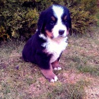 /album/a5-tyzden-5th-week/a1455117981678-jpg/