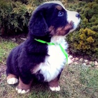 /album/a5-tyzden-5th-week/a1455118100635-jpg/