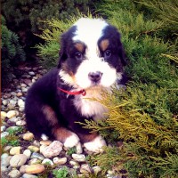 /album/a5-tyzden-5th-week/a1455118432403-jpg/