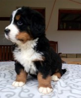 /album/a6-tyzden-6th-week/check-jpg1/