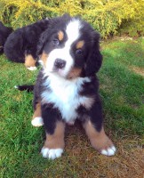 /album/a7-tyzden-7th-week/check-jpg2/