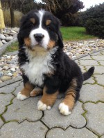 /album/a7-tyzden-7th-week/charlotte-jpg2/