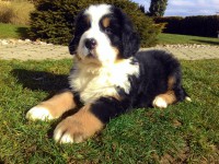 /album/a7-tyzden-7th-week/chris-jpg1/